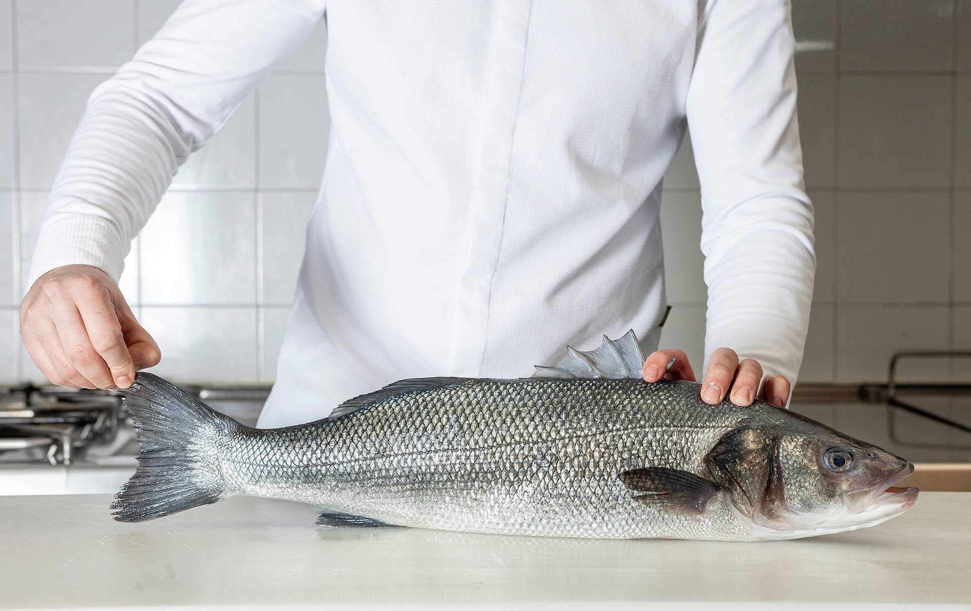 La presencia de Aquanaria en Madrid fusión alimentos de España 2023