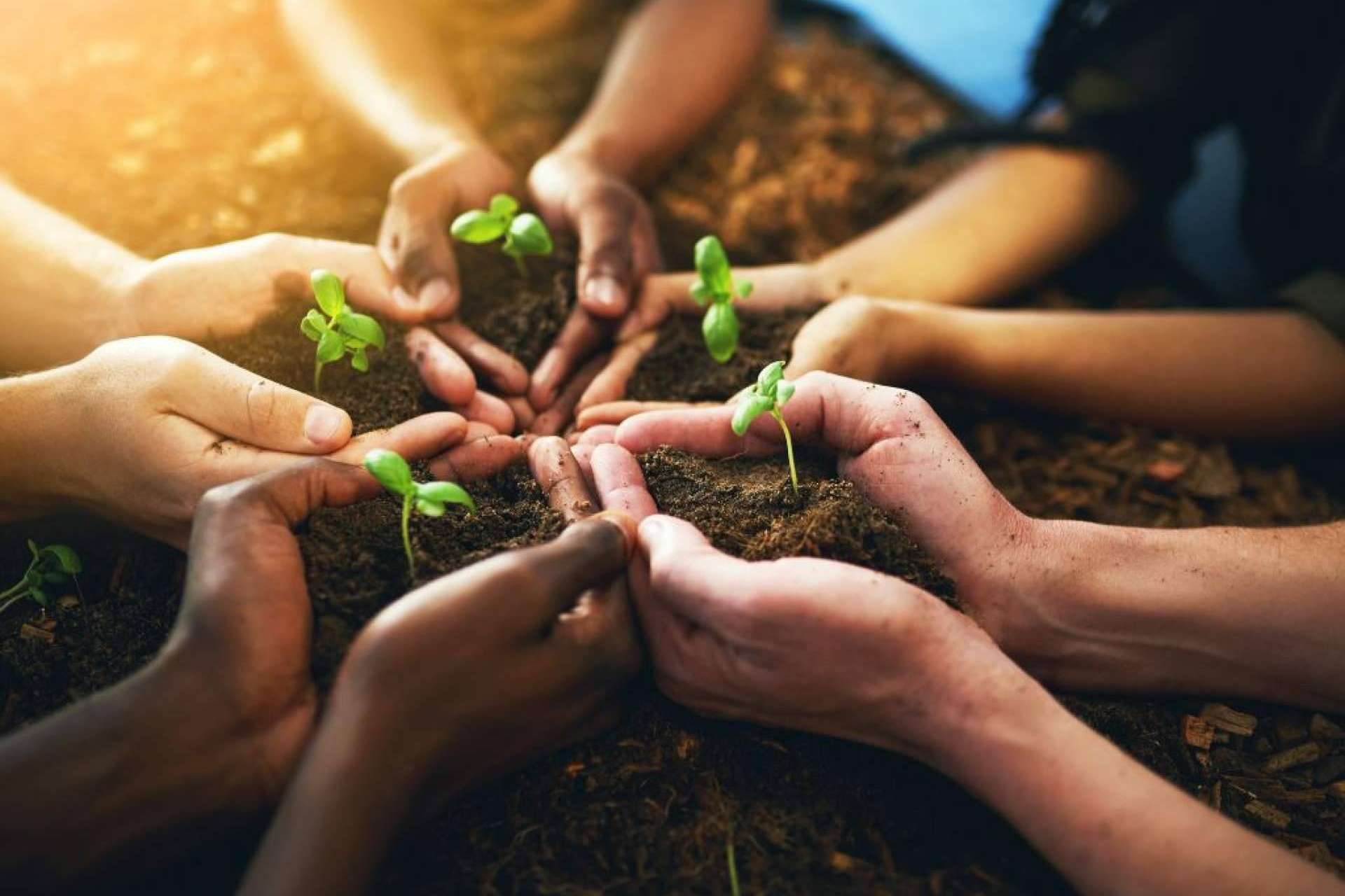 Share to Change una ONG que convierte proyectos sociales latinoamericanos en empresas sociales con proyección en Europa