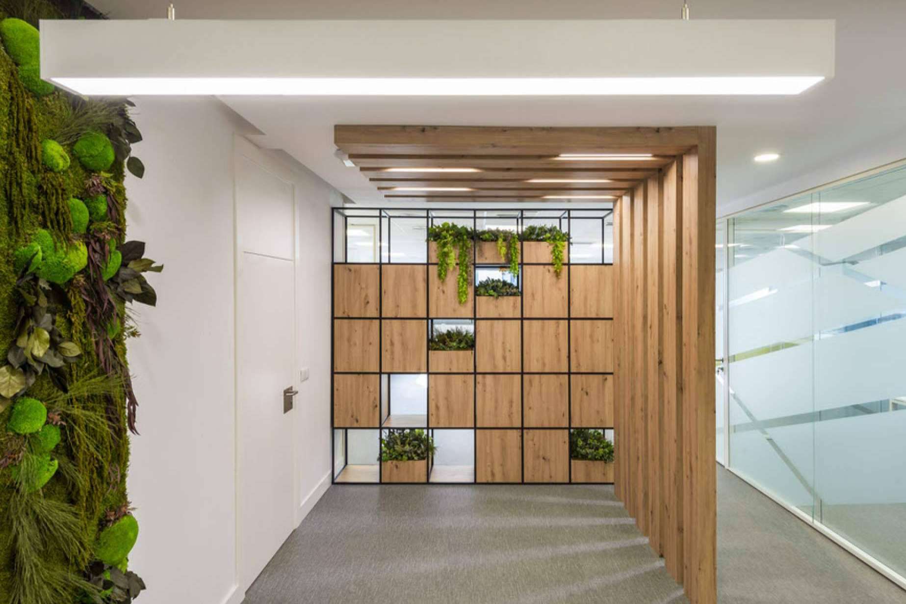 Chavsa apuesta por el diseño biofílico en la construcción y reforma de oficinas