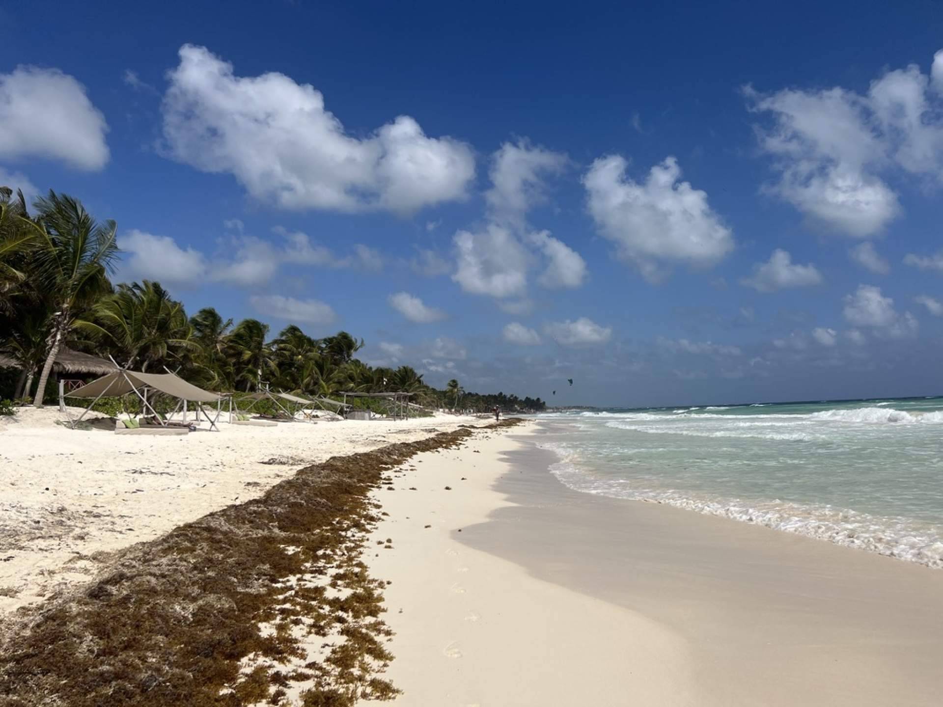 Información relevante a la hora de viajar a Tulum, por El Blog de Celeste