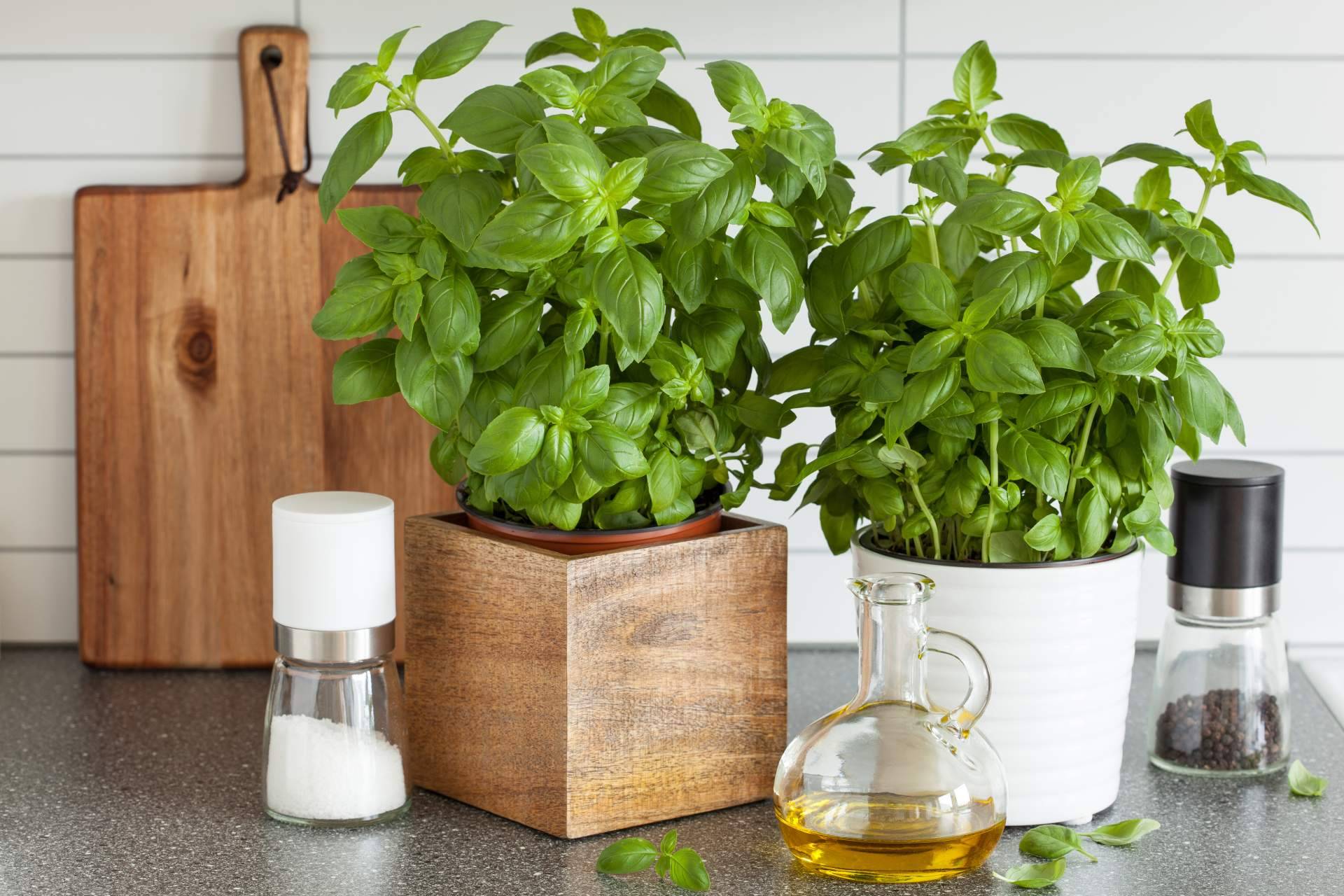 Las ventajas de cultivar hierbas aromáticas en casa, por My Kitchen and Me