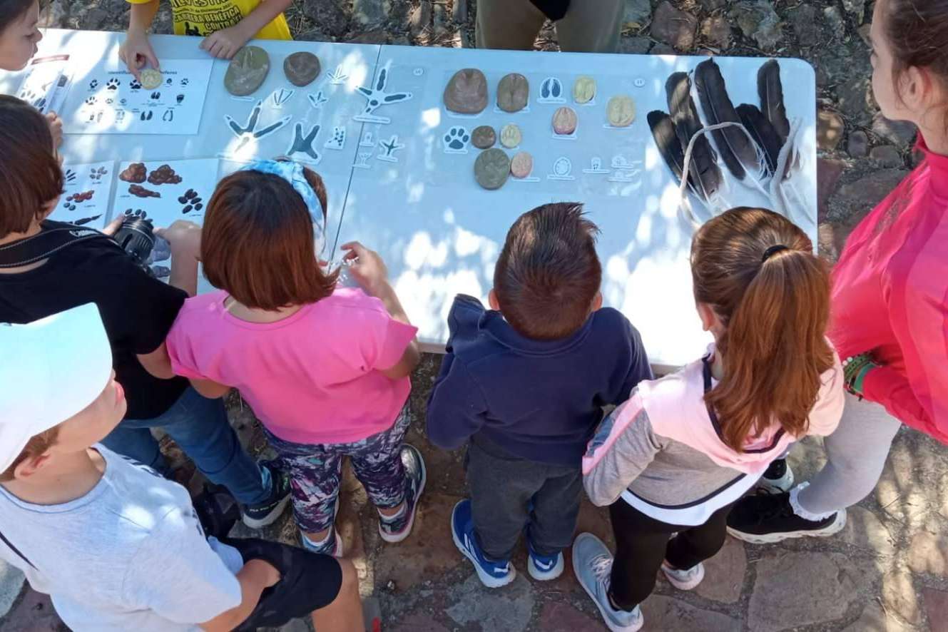 Rutas de senderismo en Alamillo