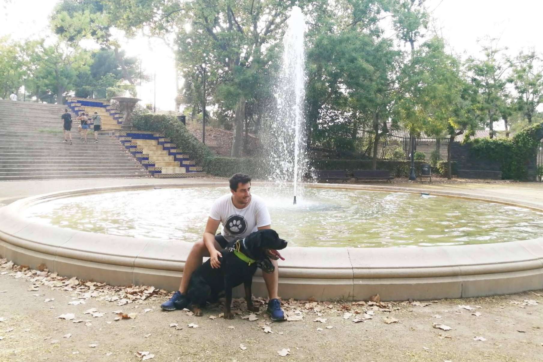 La solución de confianza para el hospedaje y paseos del mejor amigo de las personas, con El Perro Feliz Barcelona Centro