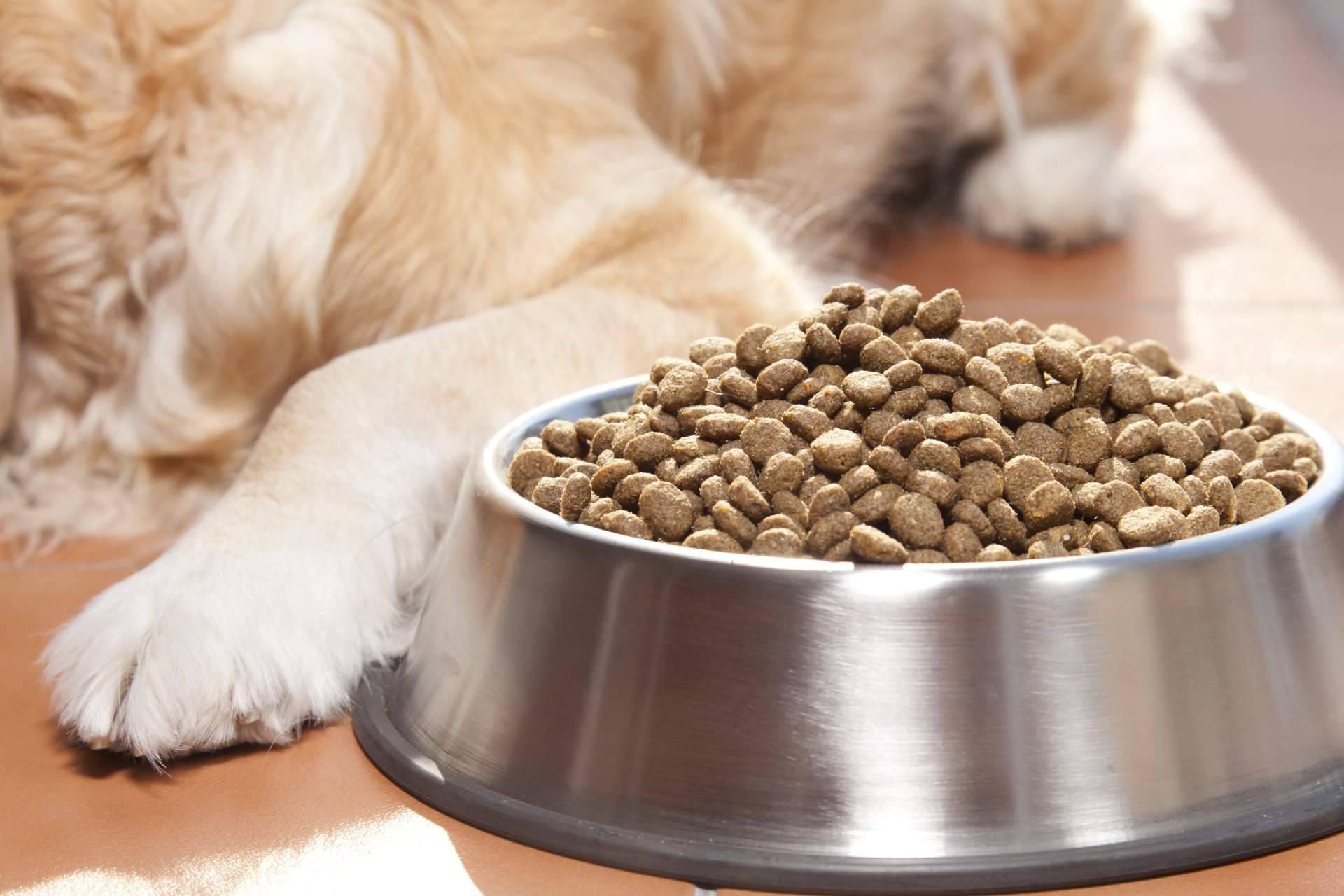 La ayuda de Kaman Pet y su sistema de calidad nutricional Kaman Points para encontrar el alimento ideal para una mascota