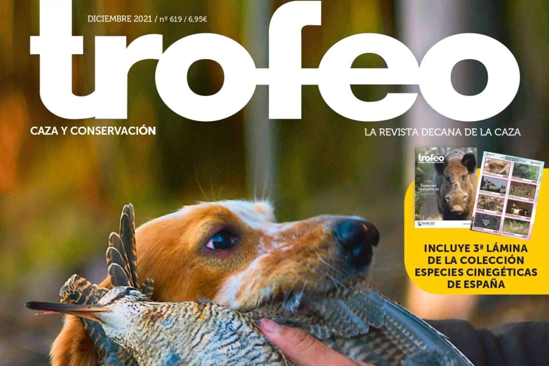 Trofeo Caza sobre los perros de caza