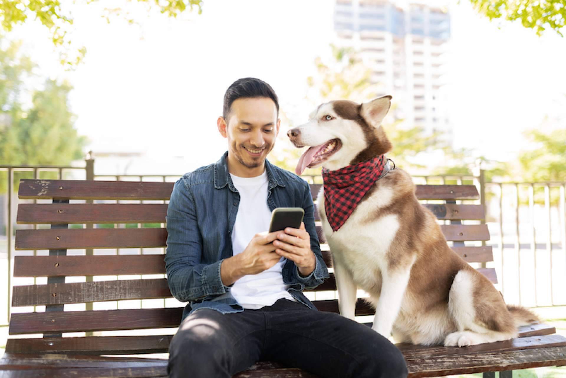 Encontrar con ADOPTA algunos de los mejores lugares pet friendly para un perro