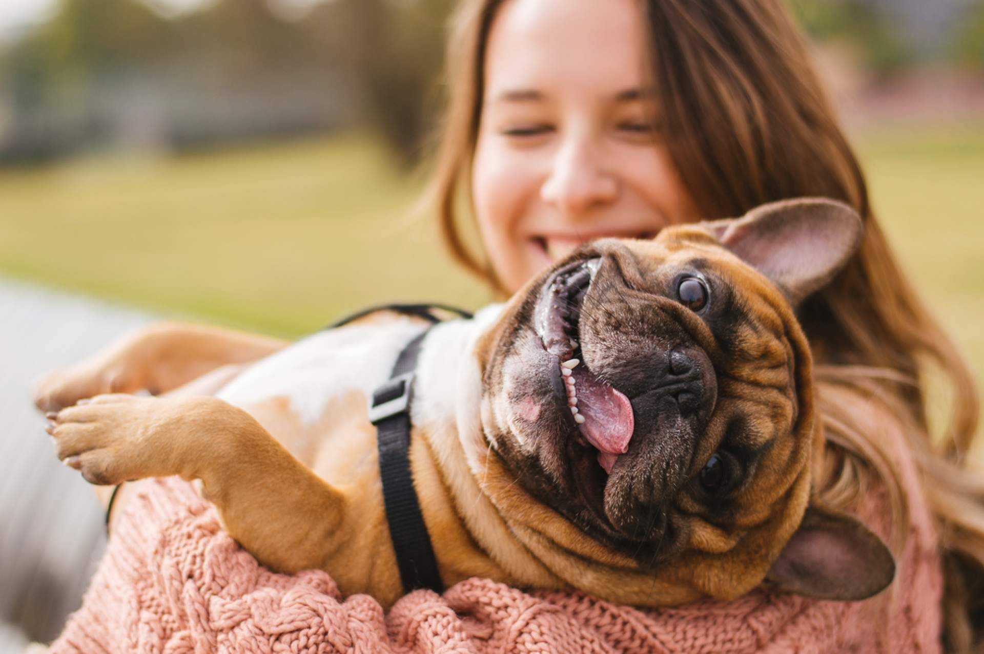 Tras el fallecimiento de su responsable, ¿cómo proteger a los animales?