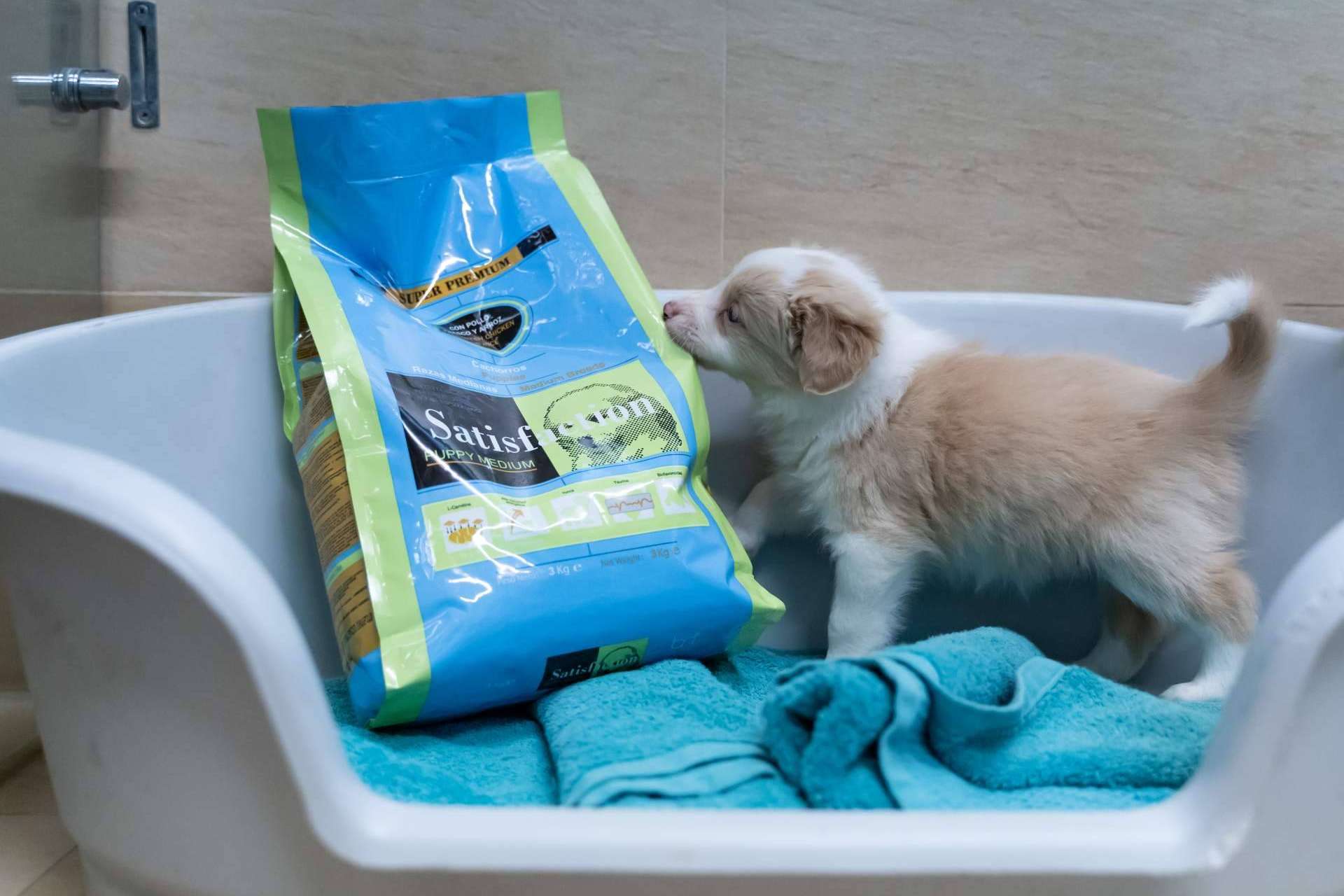Gama de pienso Satisfaction Super Premium, ¿cuáles son sus beneficios?