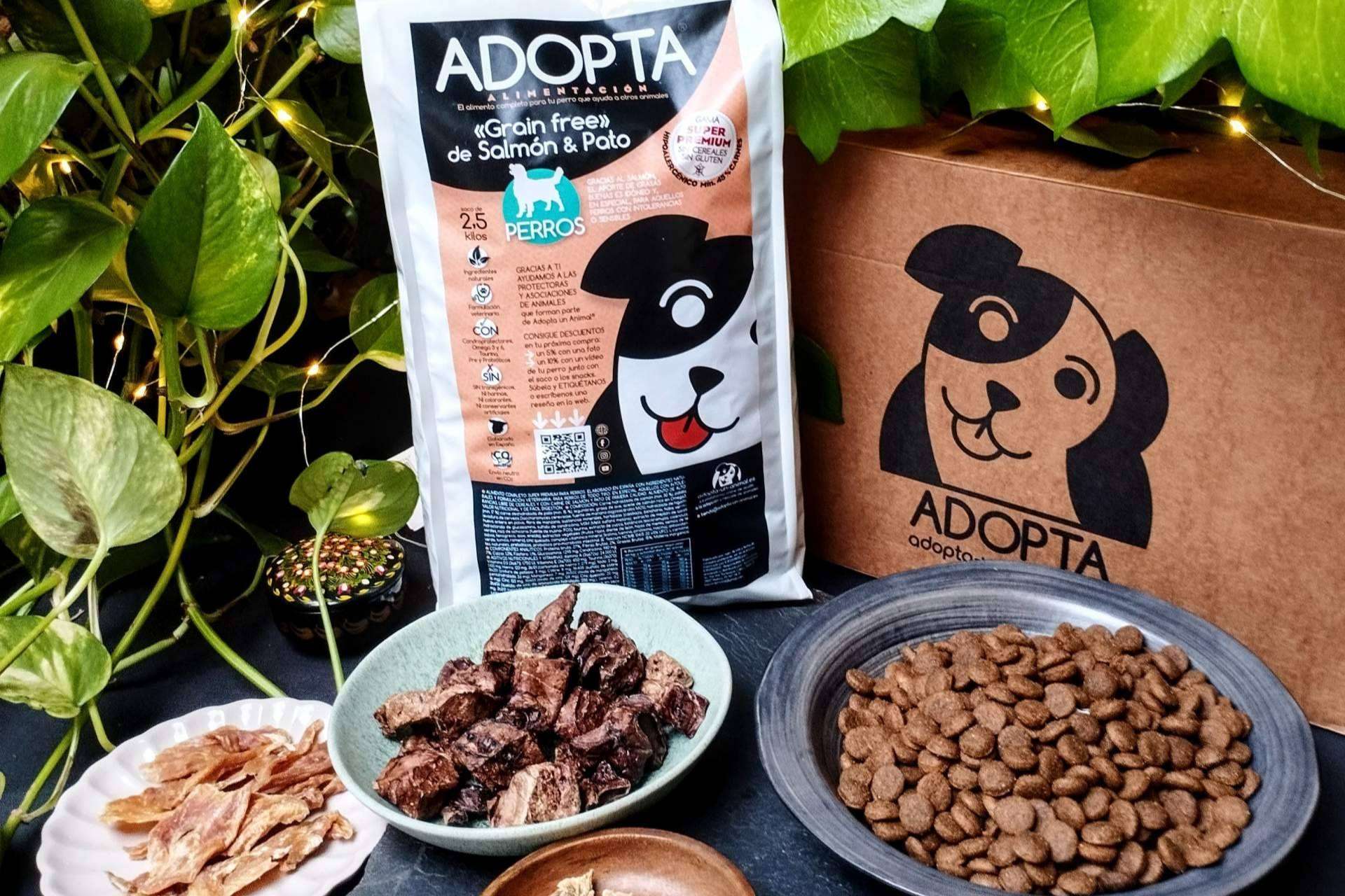 ¿Cuáles son las ventajas del pienso sin cereales?, con Adopta un Animal