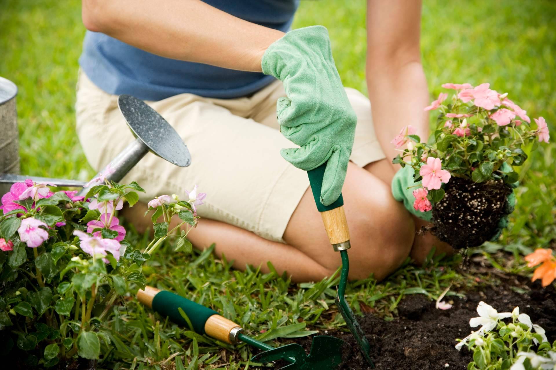 Acondicionar el jardín para este verano con Keroppa