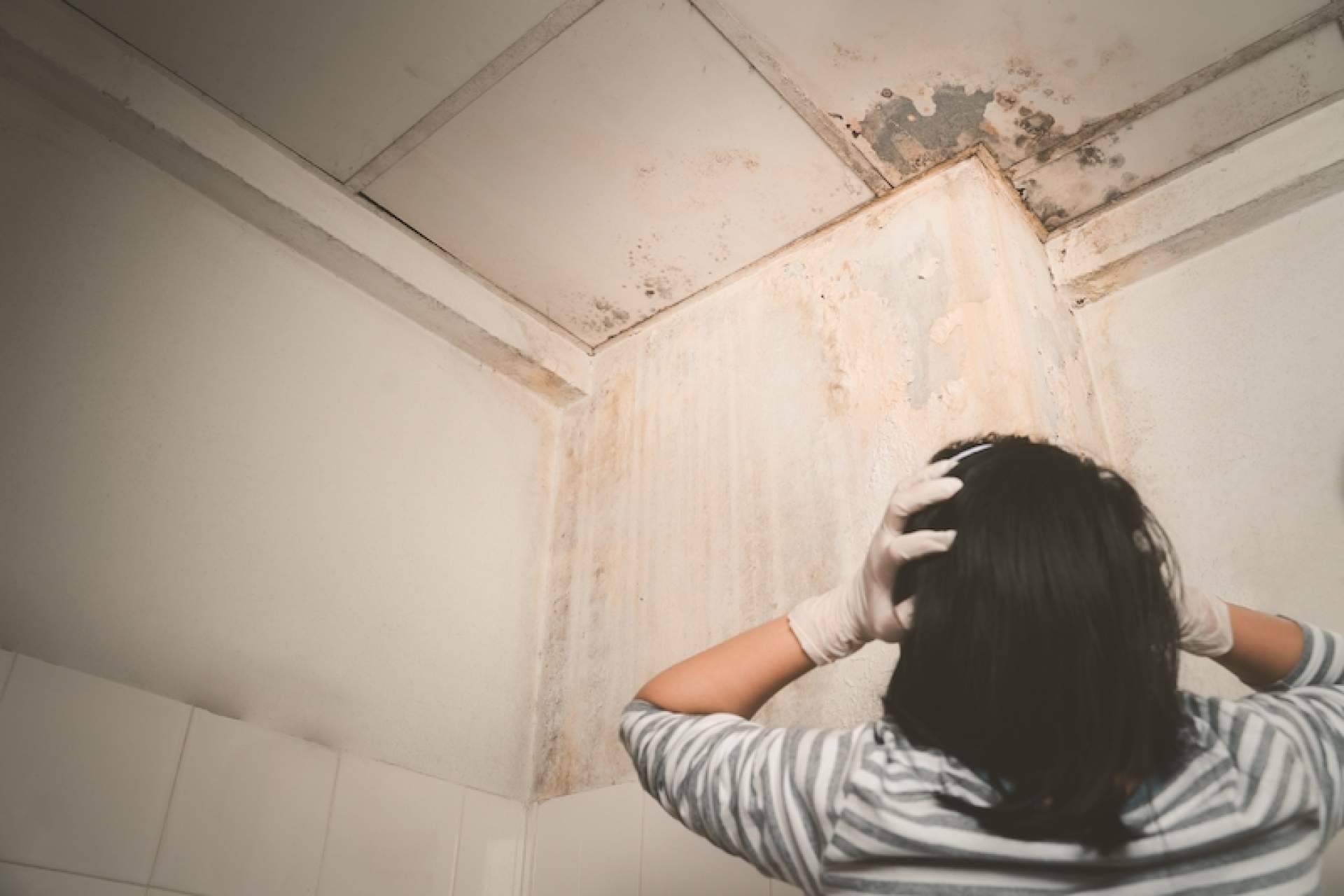Encontrar soluciones a las humedades en casa con Humydry