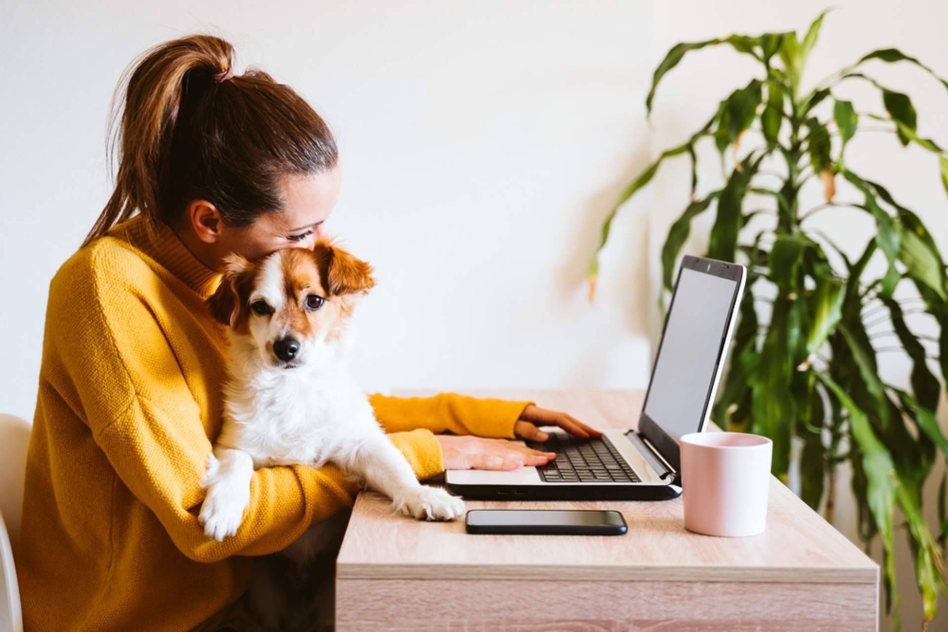 Cómo lidiar con el estrés en el trabajo, por Apoyo Psicológico Online