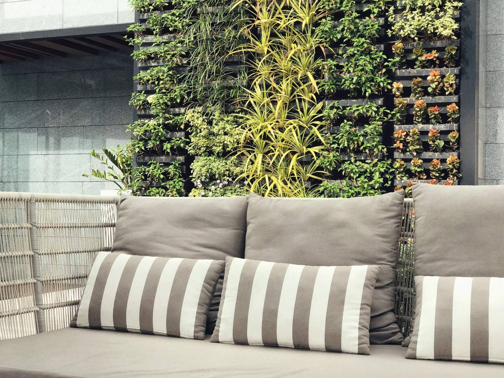 Los beneficios de las plantas de pared colgantes de JardinVertical.es