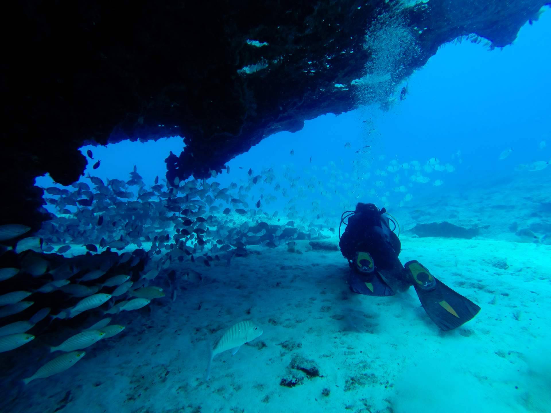 Las playas de Barcelona, el lugar para hacer el curso Open Water Diver PADI con Underwater Barcelona