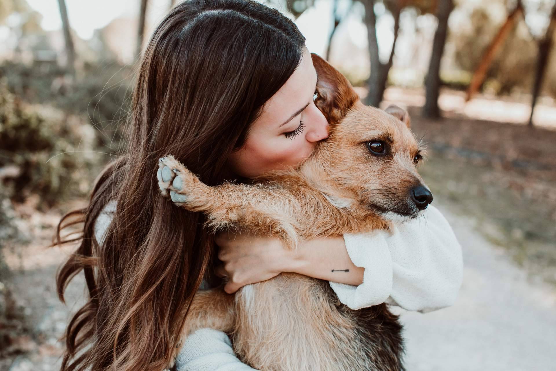 Una alimentación saludable y nutritiva para perros con sensibilidad alimentaria; El increíble pienso hipoalergénico de salmón de ADOPTA