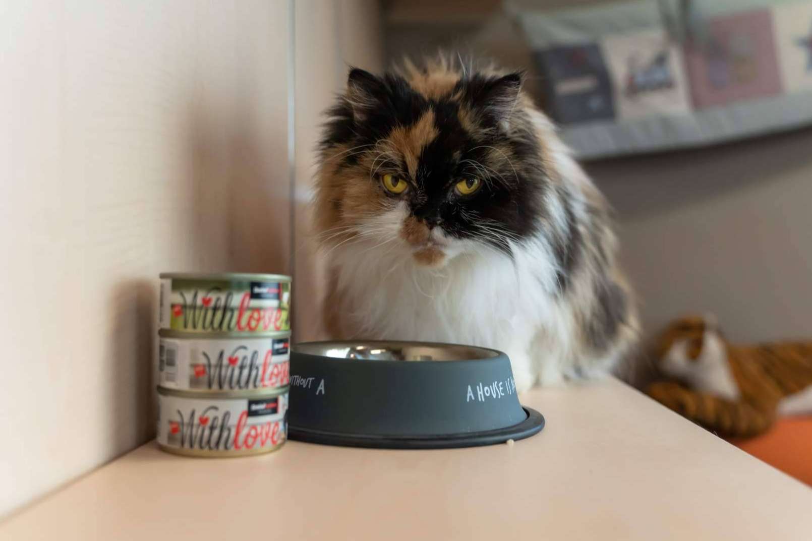 Satisfaction presenta With Love, la nueva gama de comida húmeda para perros y gatos