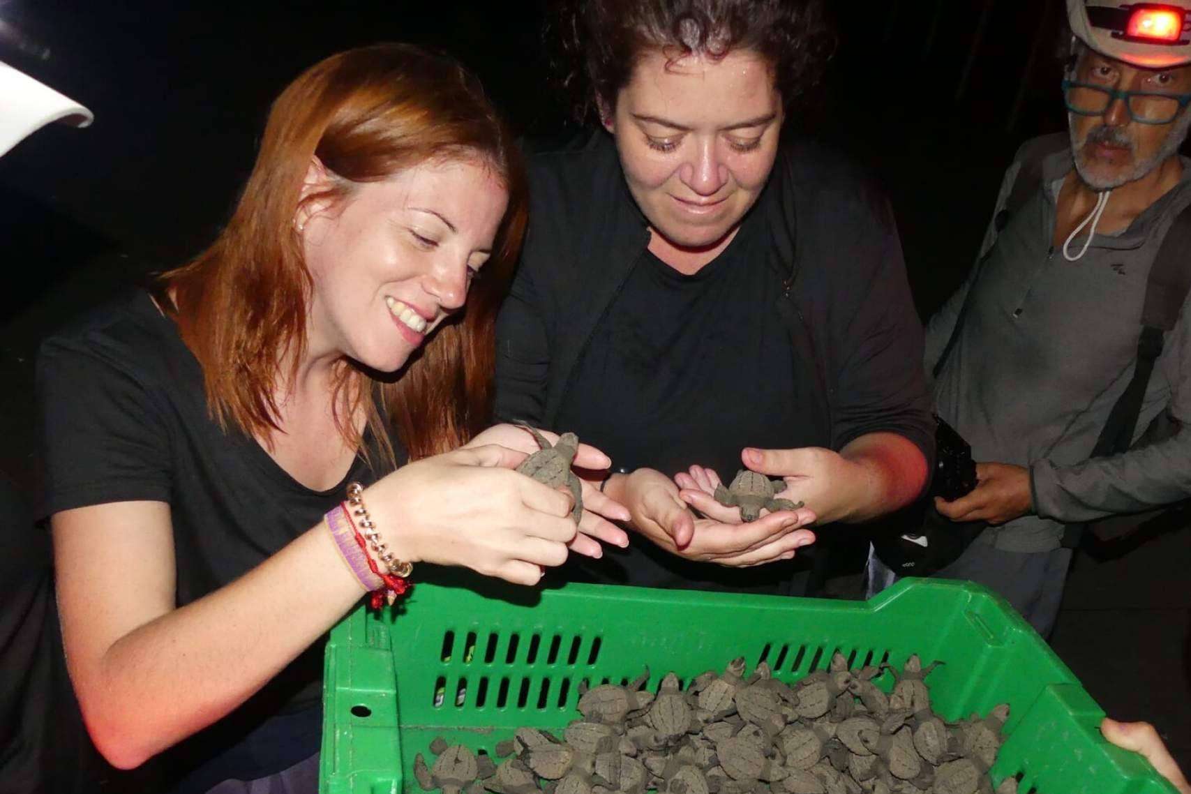 ONGVoluntariado, una manera de vivir voluntariados ambientales internacionales