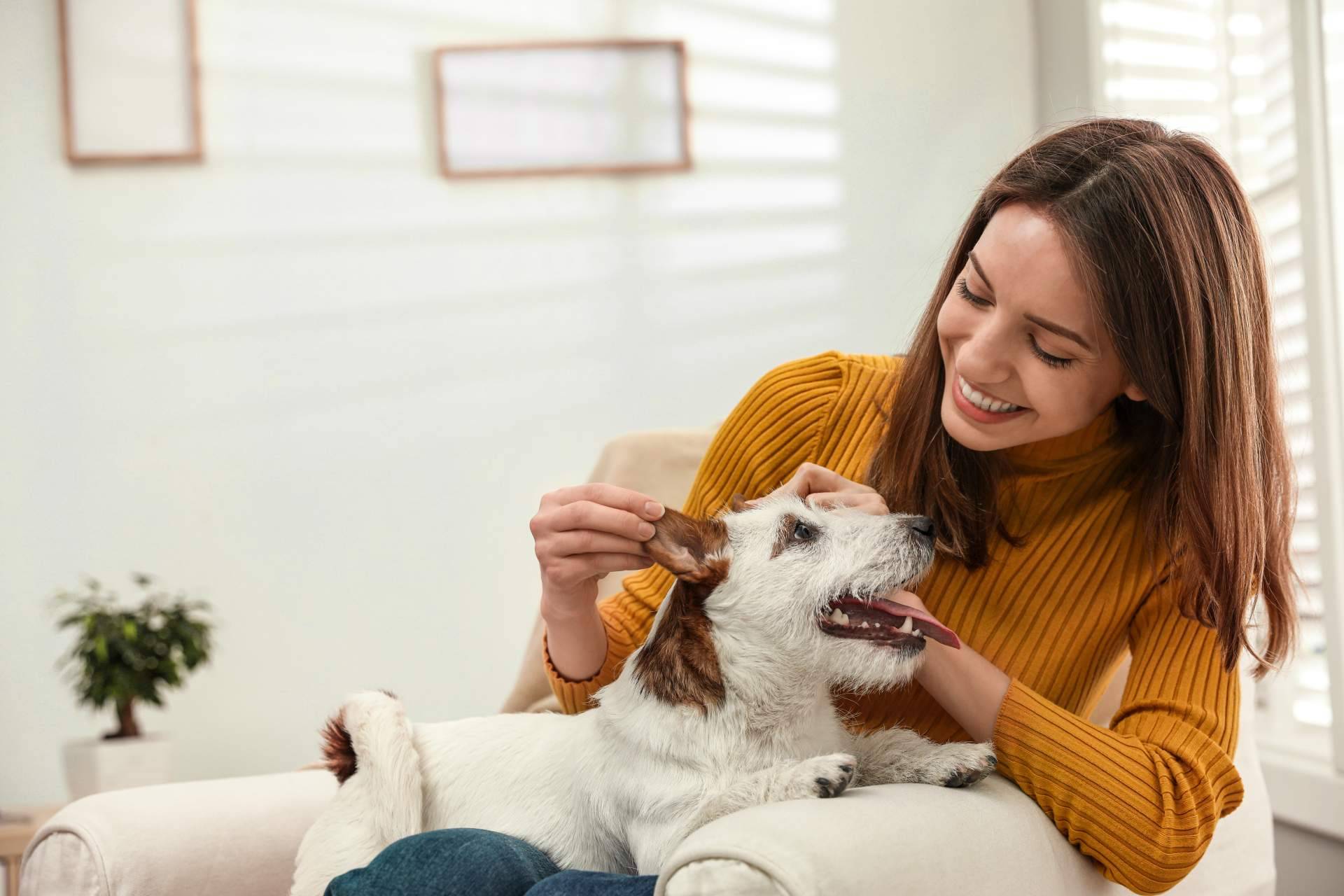 El amor y el adiestramiento son insuficientes para tener el perro que se quiere