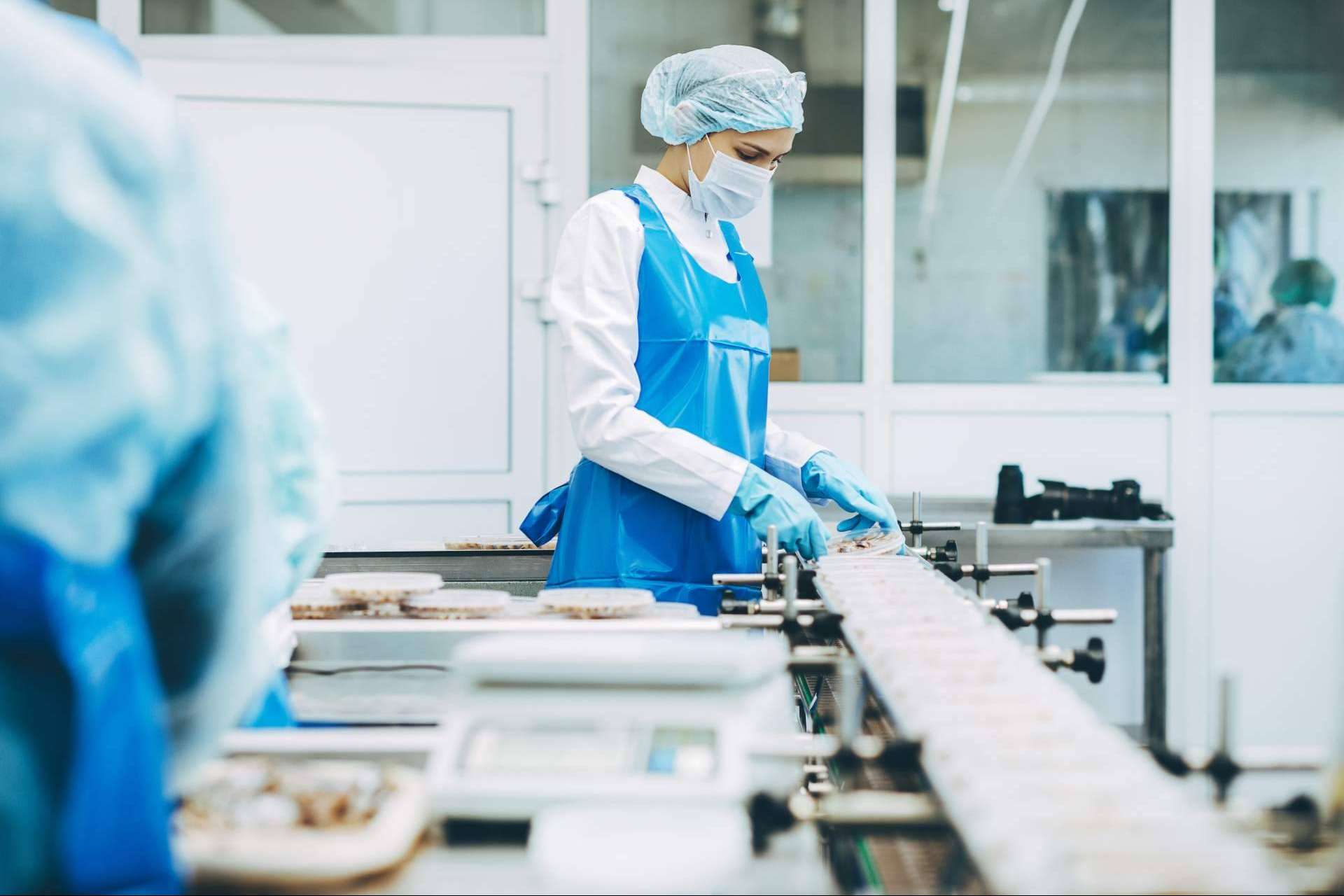 ¿Dónde encontrar un software ERP para la industria alimentaria? ALBA IBS
