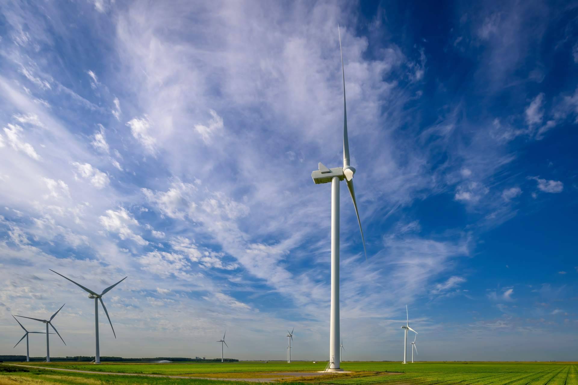 La transición energética de la mano de Multienergía Verde