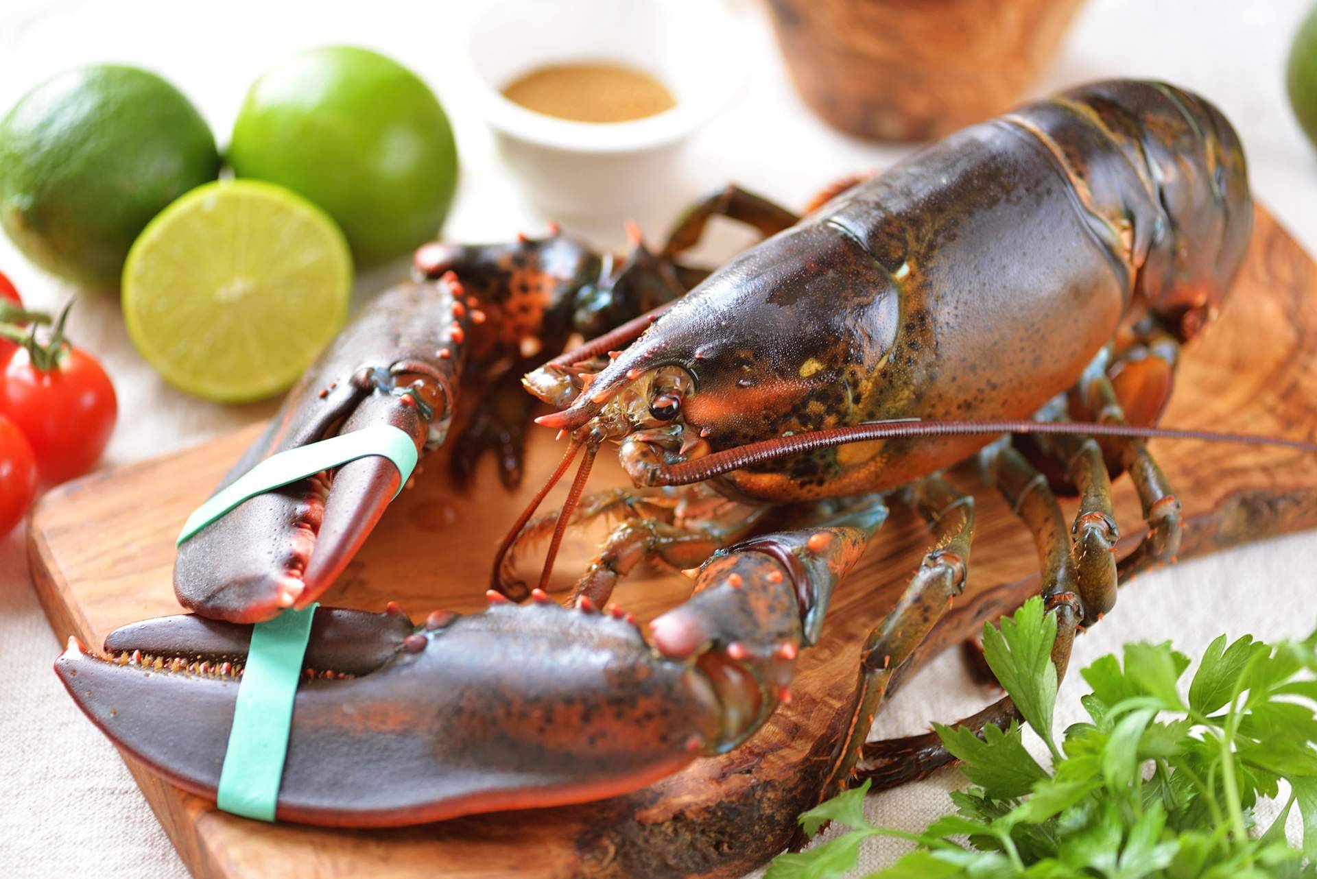 Dónde encontrar bogavante y otros productos del mar de alta calidad, en Pescadería Younes Ceuta