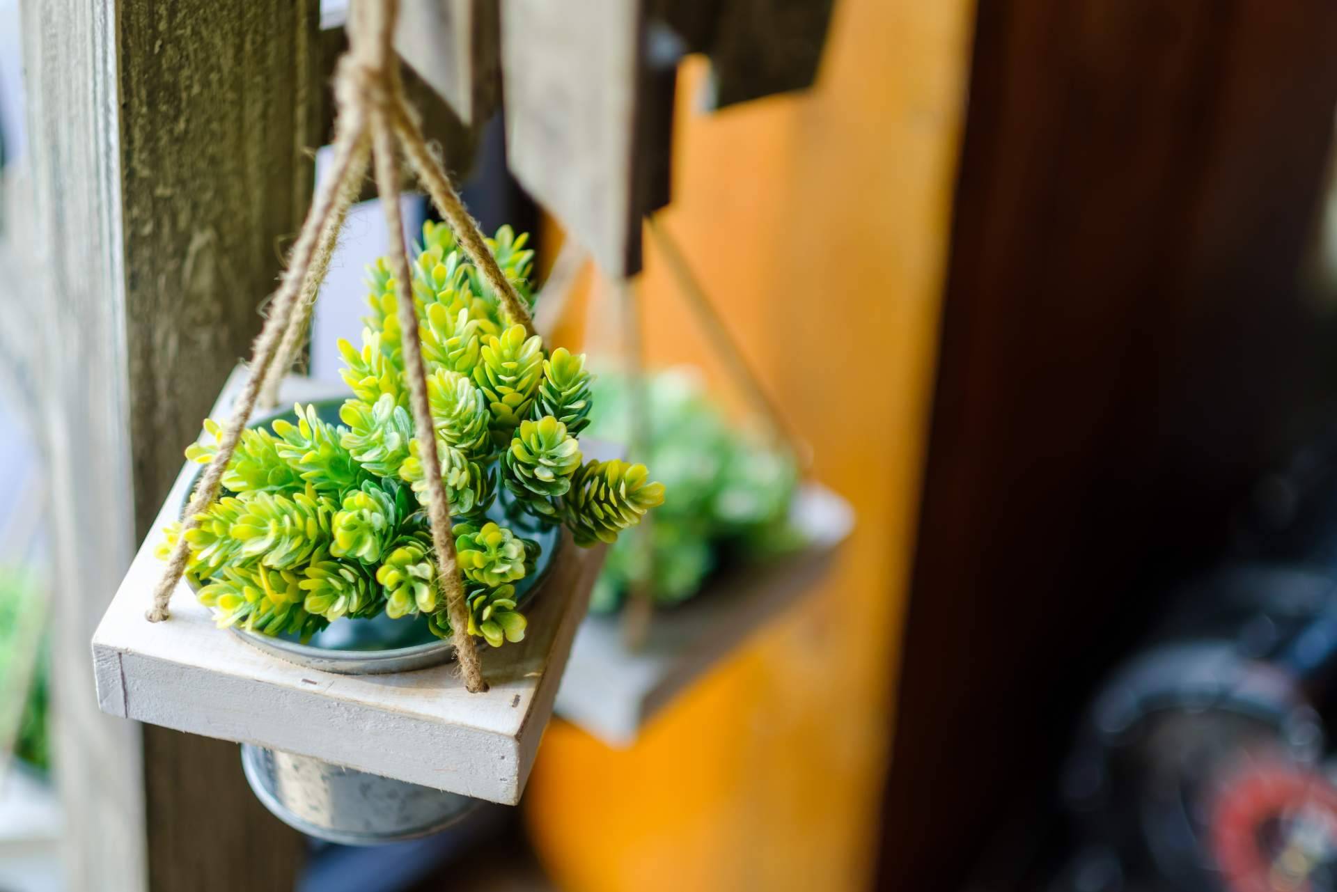 JardínVertical.es cuenta con un catálogo con más de 20 opciones en plantas artificiales realistas