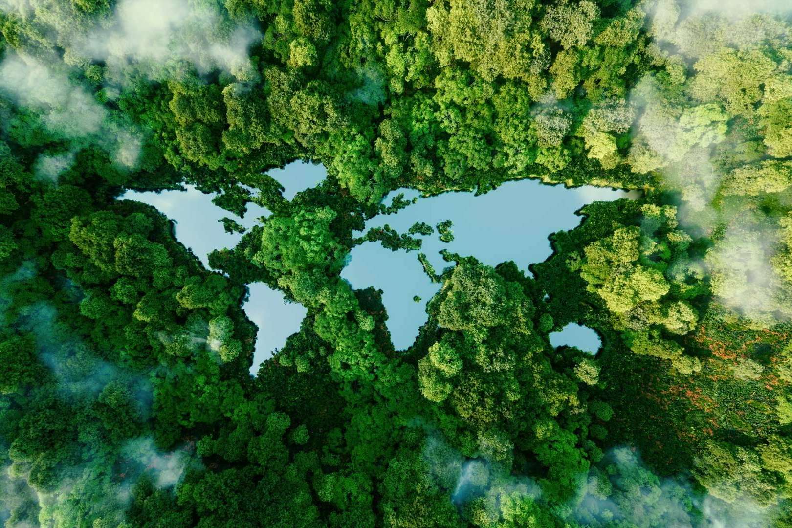 El software para gestión ambiental, Laragon