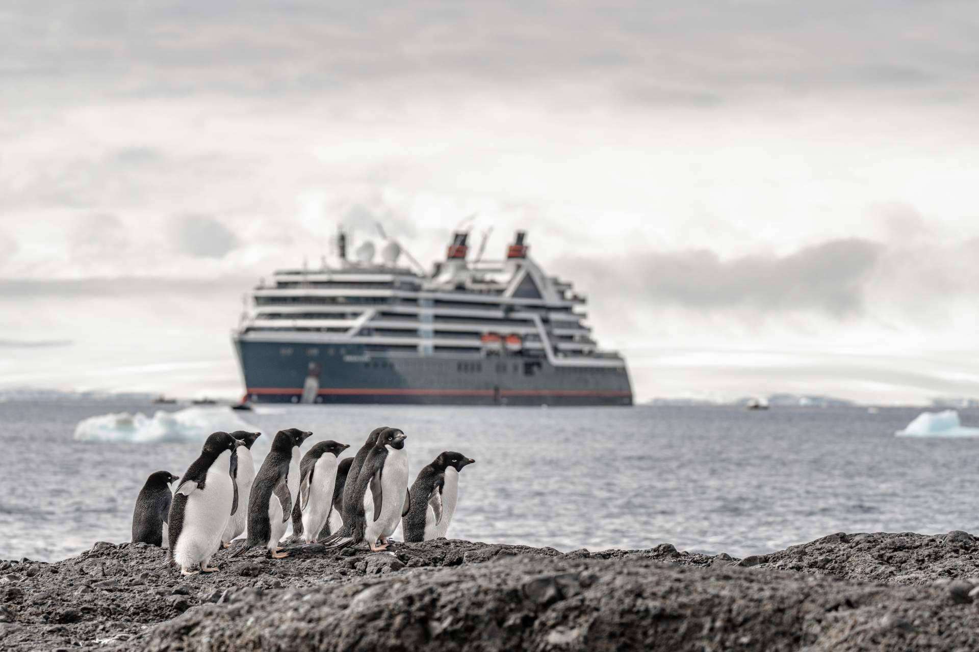 El Seabourn Pursuit es el nuevo barco de expedición de ultralujo de Seabourn