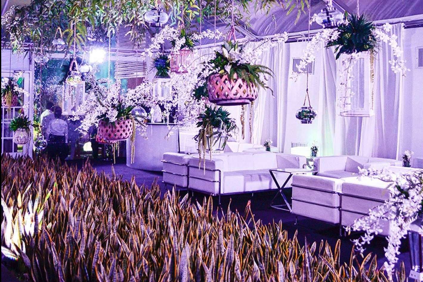 Maestría en crear emociones y conectar marcas, con Marka Events