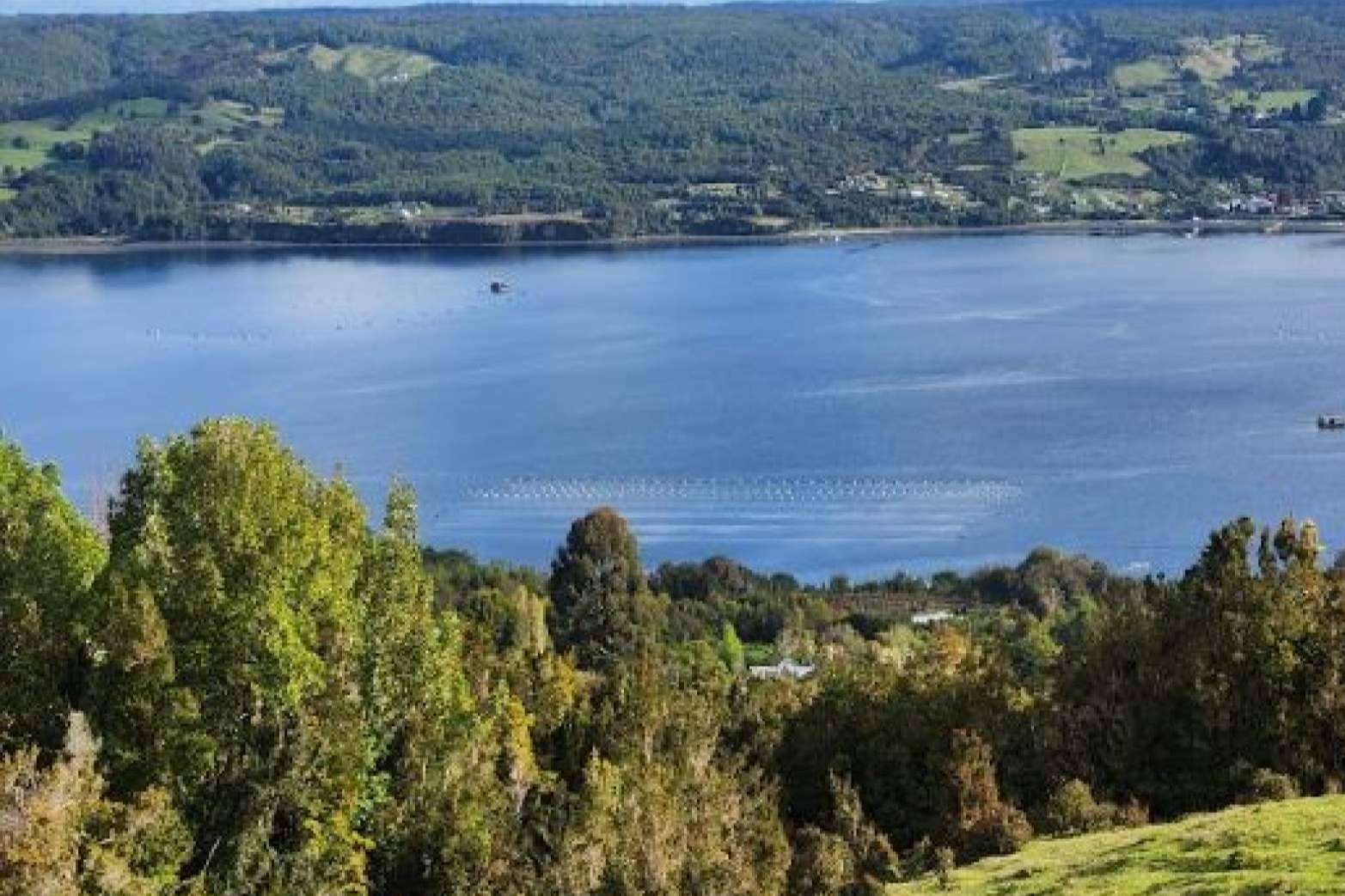 ¿Por qué comprar una parcela en Chile con Latitudes Australes?