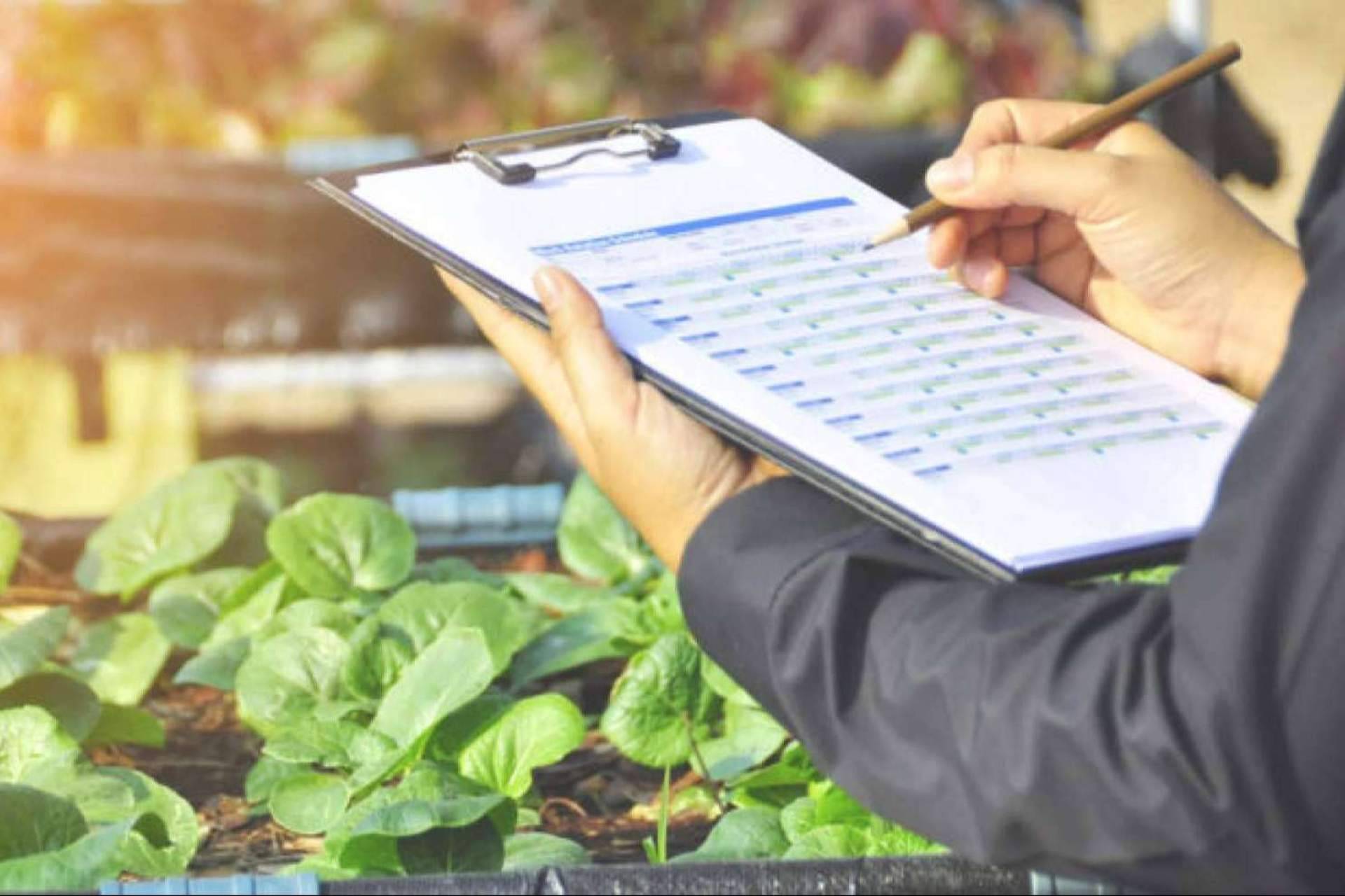 Locatec presenta QualitApp, una plataforma tecnológica para el control de calidad en la industria agroalimentaria