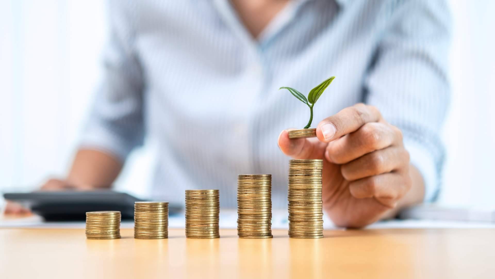 SeniorConta, una solución para llevar una contabilidad ordenada y generar los impuestos a tiempo y sin errores