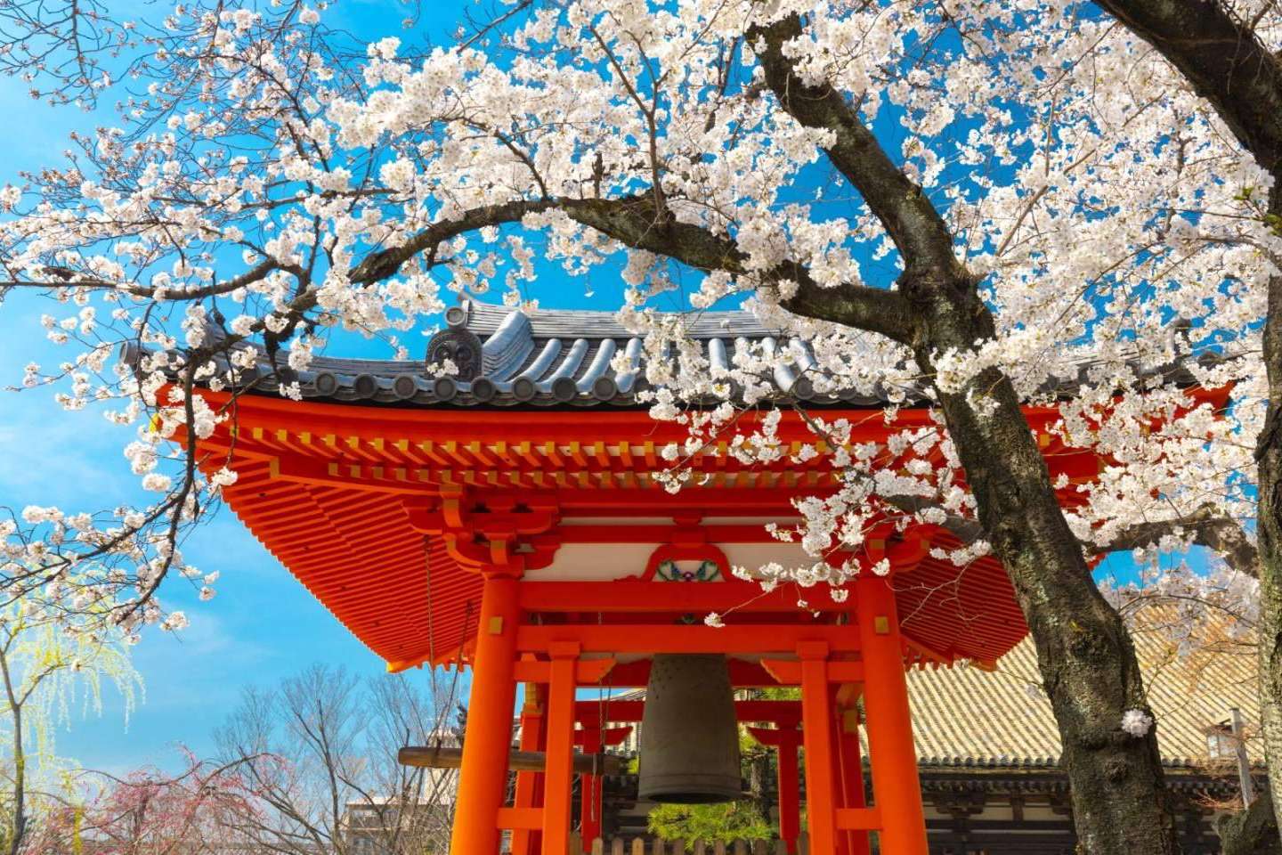 Japón como nunca antes, Angkor Viajes presenta su concepto de viajes personalizados