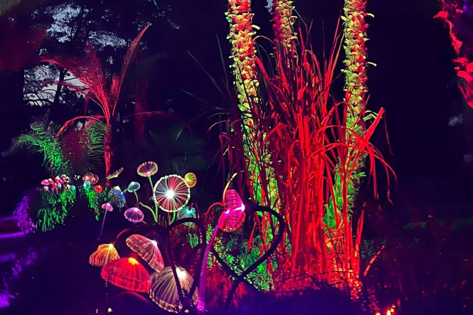 Descubrir Ibiza de forma diferente; Bibo Park, un imprescindible para los amantes de la ciencia y la biodiversidad