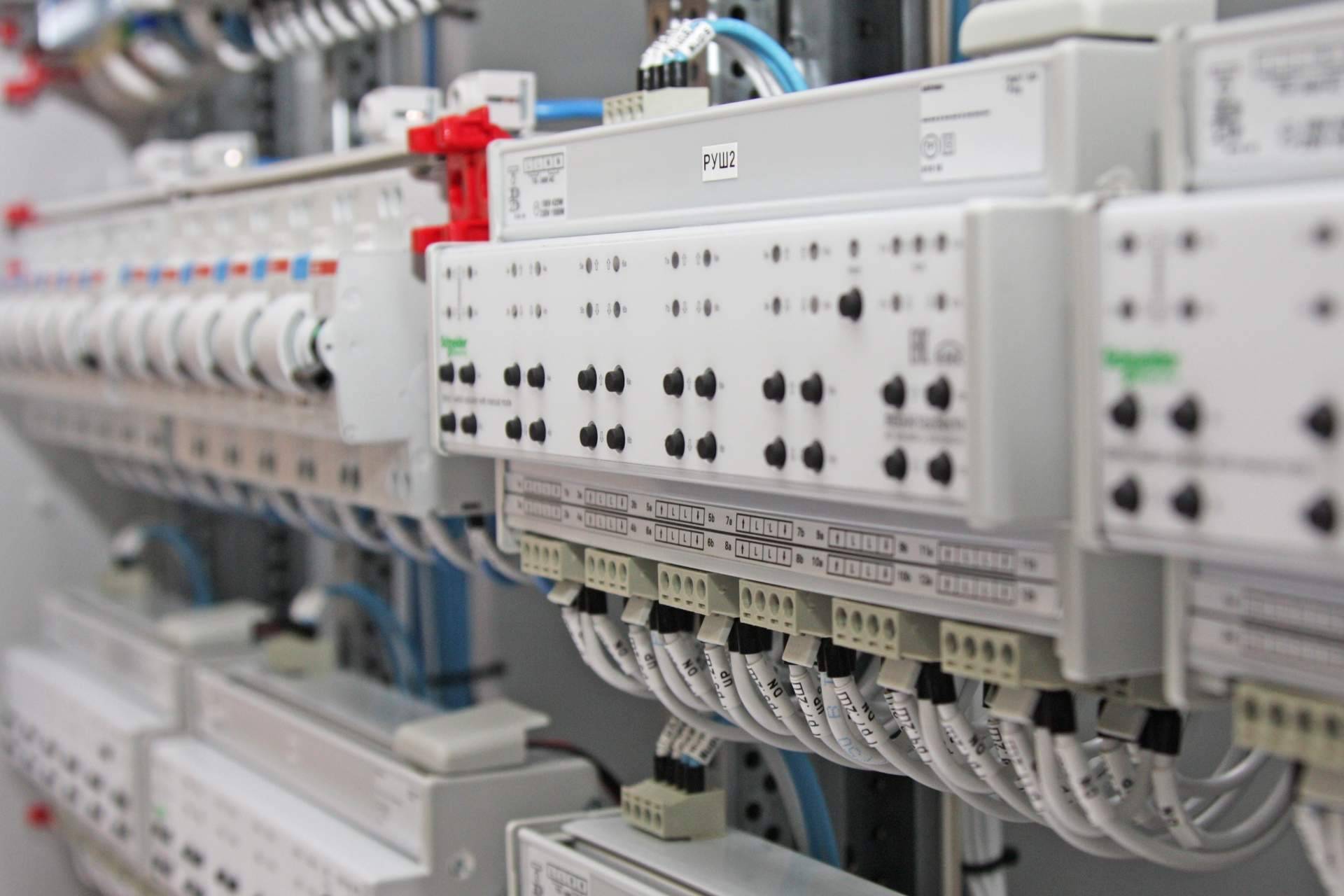 Material eléctrico Schneider Electric con asesoramiento técnico y precios ajustados en la tienda online de Cadenza Electric