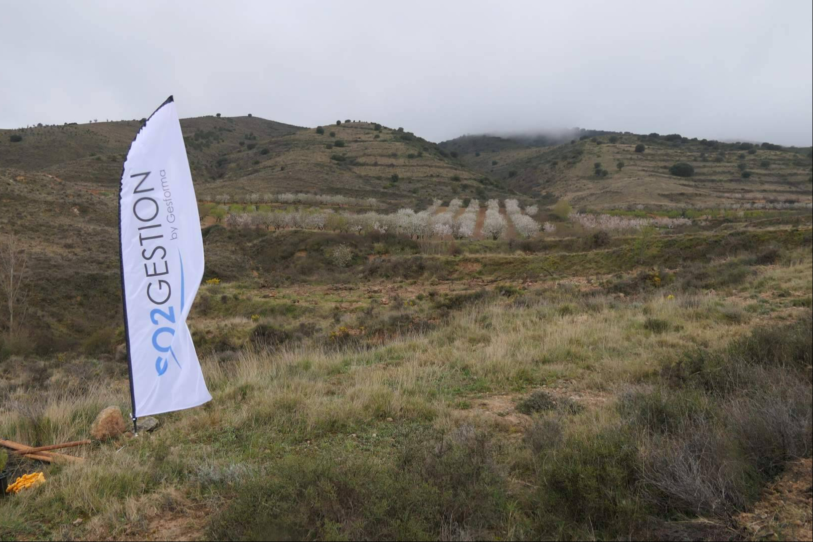 La compensación de CO2 de CO2 GESTIÓN se consolida con el respaldo del MITERD