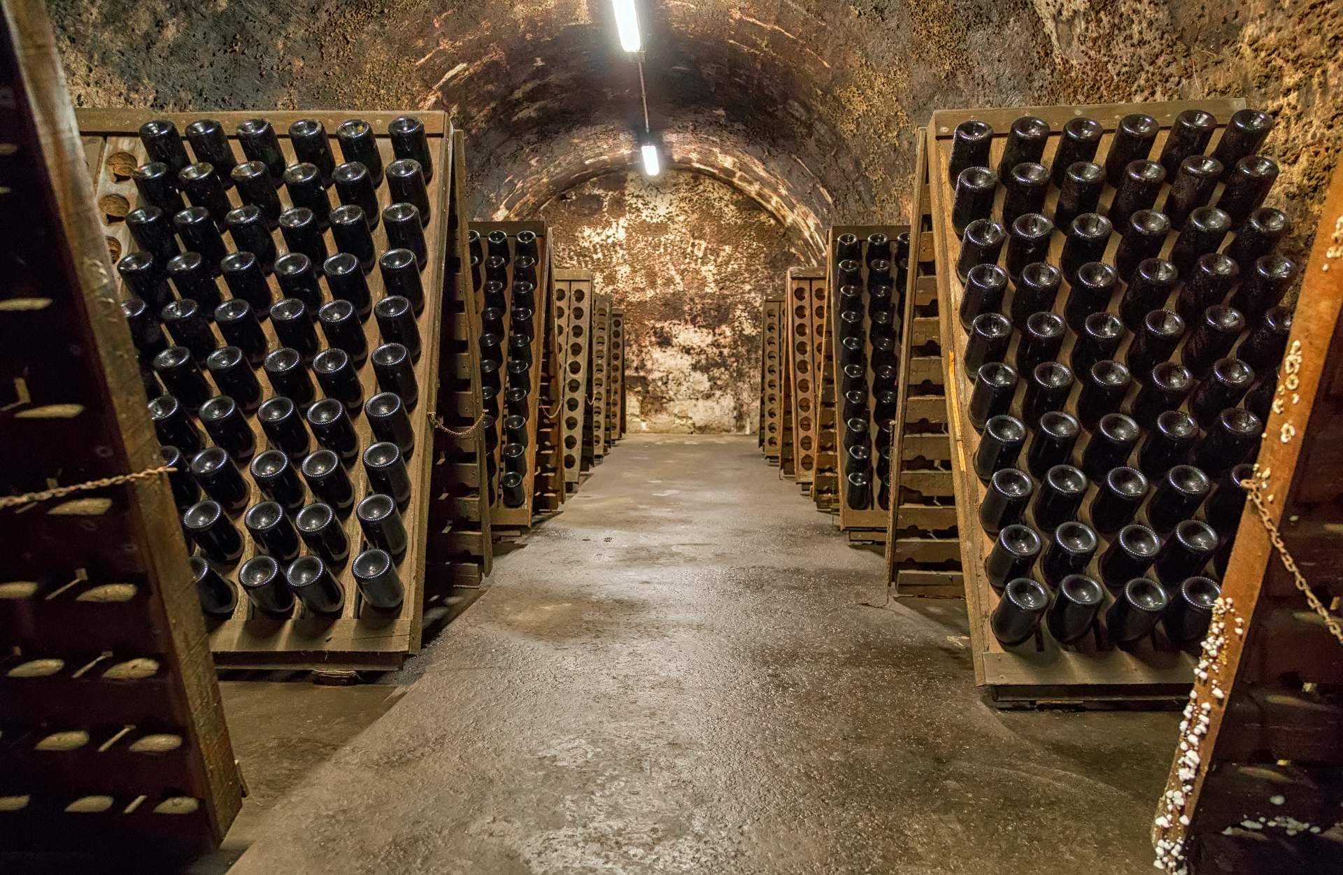 Nature Lovers Wines pone en valor el cava ecológico a través de vinos con identidad artesanal