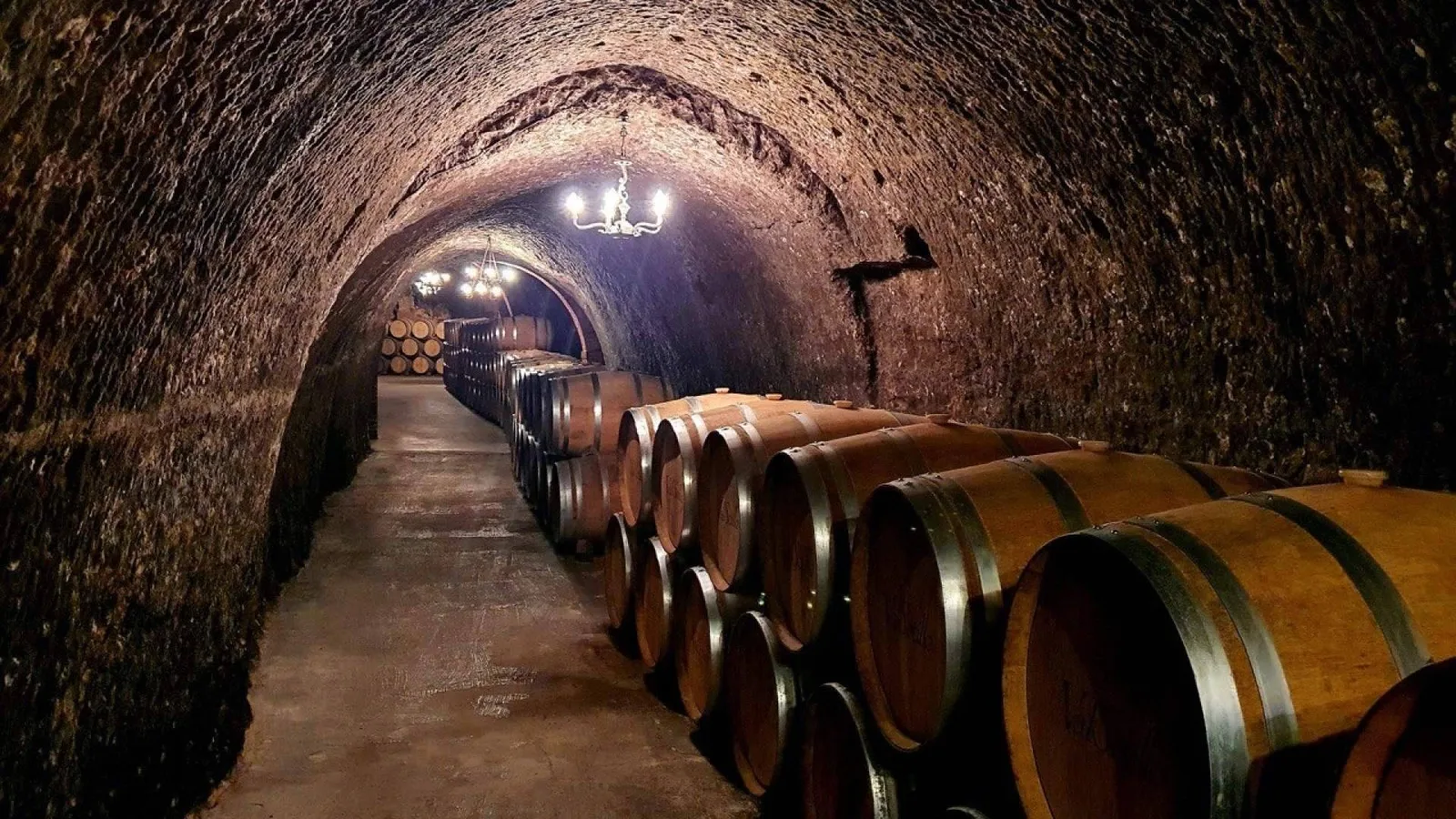 Tour de vinos frente a ir por cuenta propia; Wine Tours From Madrid explica el valor de una ruta organizada